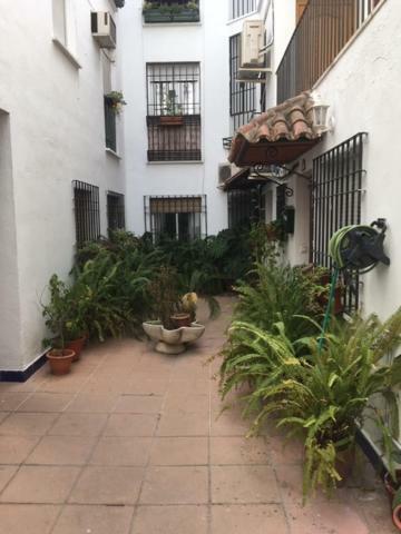 El Rincon De La Juderia Apartman Córdoba Kültér fotó
